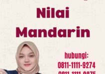 Penerjemah Transkrip Nilai Mandarin