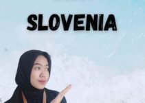 Provider Visa Slovenia