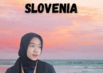 Rekomendasi Jasa Visa Slovenia