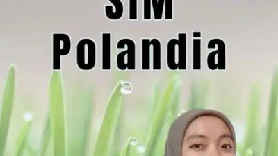 Statement Letter SIM Polandia