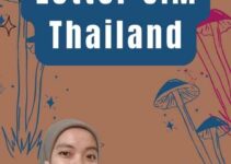 Statement Letter SIM Thailand