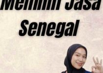 Tips Memilih Jasa Senegal