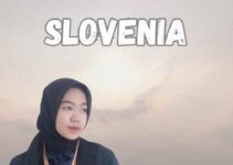 Travel Agent Visa Slovenia