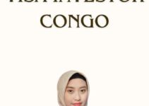 Visa Investor Congo