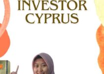 Visa Investor Cyprus