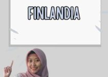 Visa Investor Finlandia