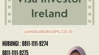 Visa Investor Ireland