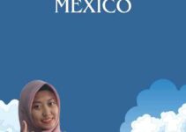 Visa Investor Mexico