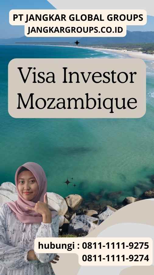 Visa Investor Mozambique