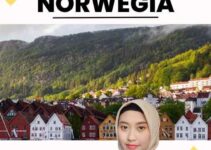 Visa Investor Norwegia