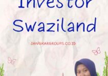 Visa Investor Swaziland