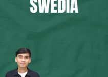 Visa Investor Swedia