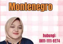 Visa Kerja Montenegro