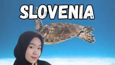 Visa Kilat Slovenia