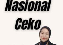 Visa Nasional Ceko