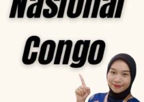 Visa Nasional Congo