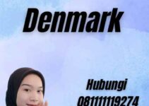 Visa Nasional Denmark