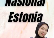 Visa Nasional Estonia