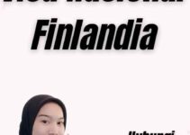 Visa Nasional Finlandia