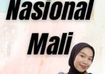 Visa Nasional Mali