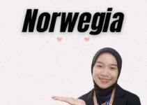 Visa Nasional Norwegia