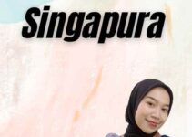 Visa Nasional Singapura