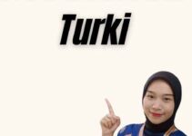 Visa Nasional Turki