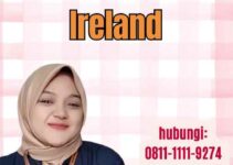 Visa Pelajar Ireland