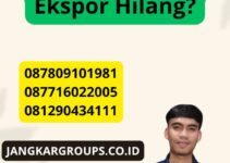 Apa Yang Harus Dilakukan Jika Izin Ekspor Hilang?