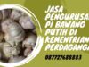 Jasa Pengurusan PI Bawang Putih di Kementrian Perdagangan