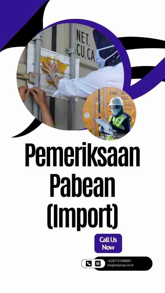 Pemeriksaan Pabean (Import)