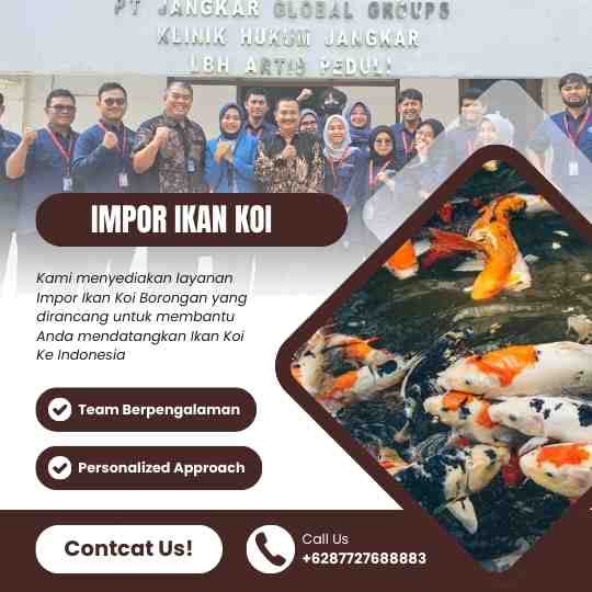 Impor Ikan Koi Vietnam