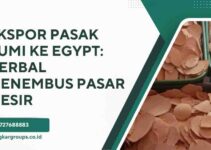 Ekspor Pasak Bumi Ke Egypt: Herbal Menembus Pasar Mesir