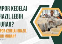 Impor Kedelai Brazil Lebih Murah? Dilema Impor dan Daya Saing