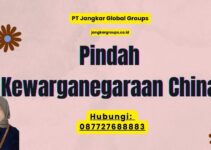 Pindah Kewarganegaraan China